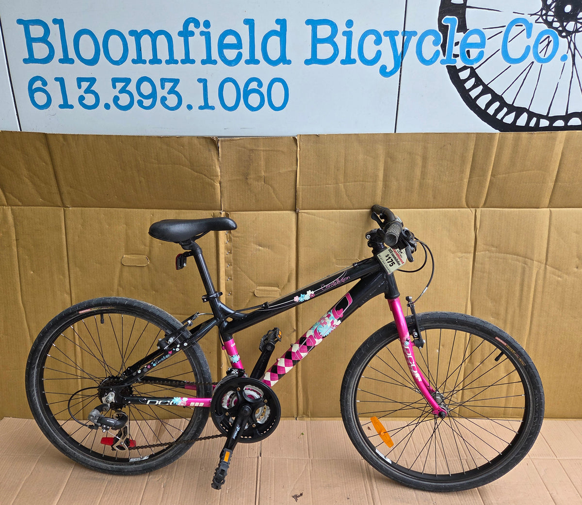 DCO 24” Constellation 21 speed kids bike USED