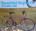 Raleigh Highlander Ladies style hybrid USED
