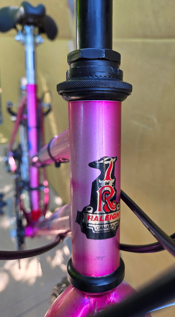 Raleigh Highlander Ladies style hybrid USED