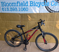 Specialized 24” hot rock