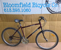 Miele Siena S1 (M) USED MTB-style 19.5”