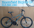 Supercycle Nitro 24" mtb blue USED kids