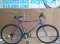 Miele Pegasus 18”/23” purple mtb USED